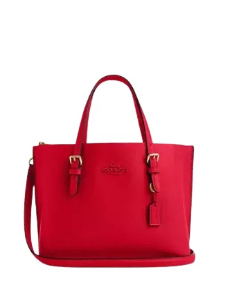 Coach Mollie Tote 25